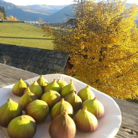 Appartamento Polzhof *